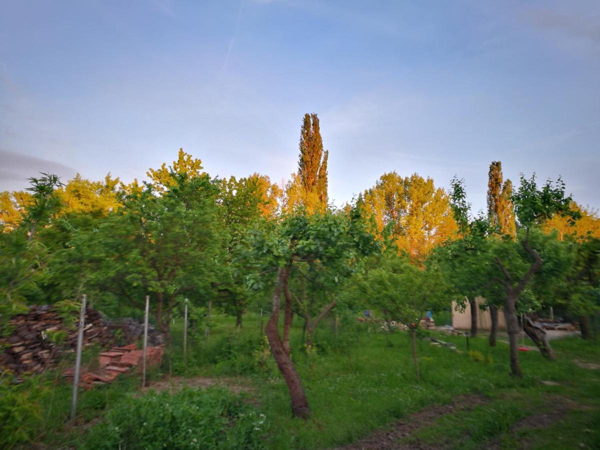 Patak Apartman, Diszel Tapolca Buitenkant foto