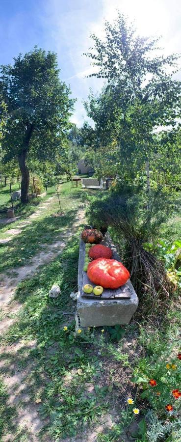 Patak Apartman, Diszel Tapolca Buitenkant foto